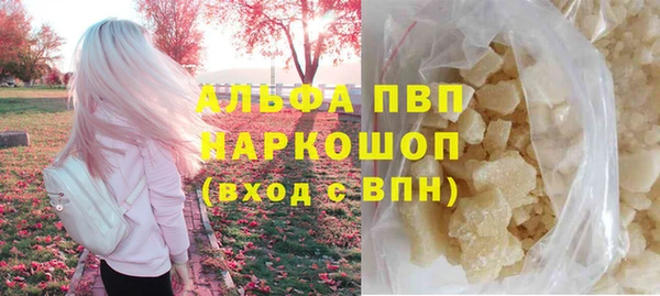 гидра Покачи