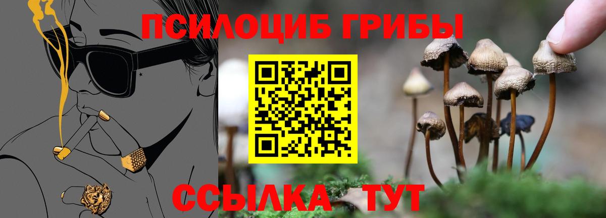 Псилоцибиновые грибы MAGIC MUSHROOMS Первоуральск